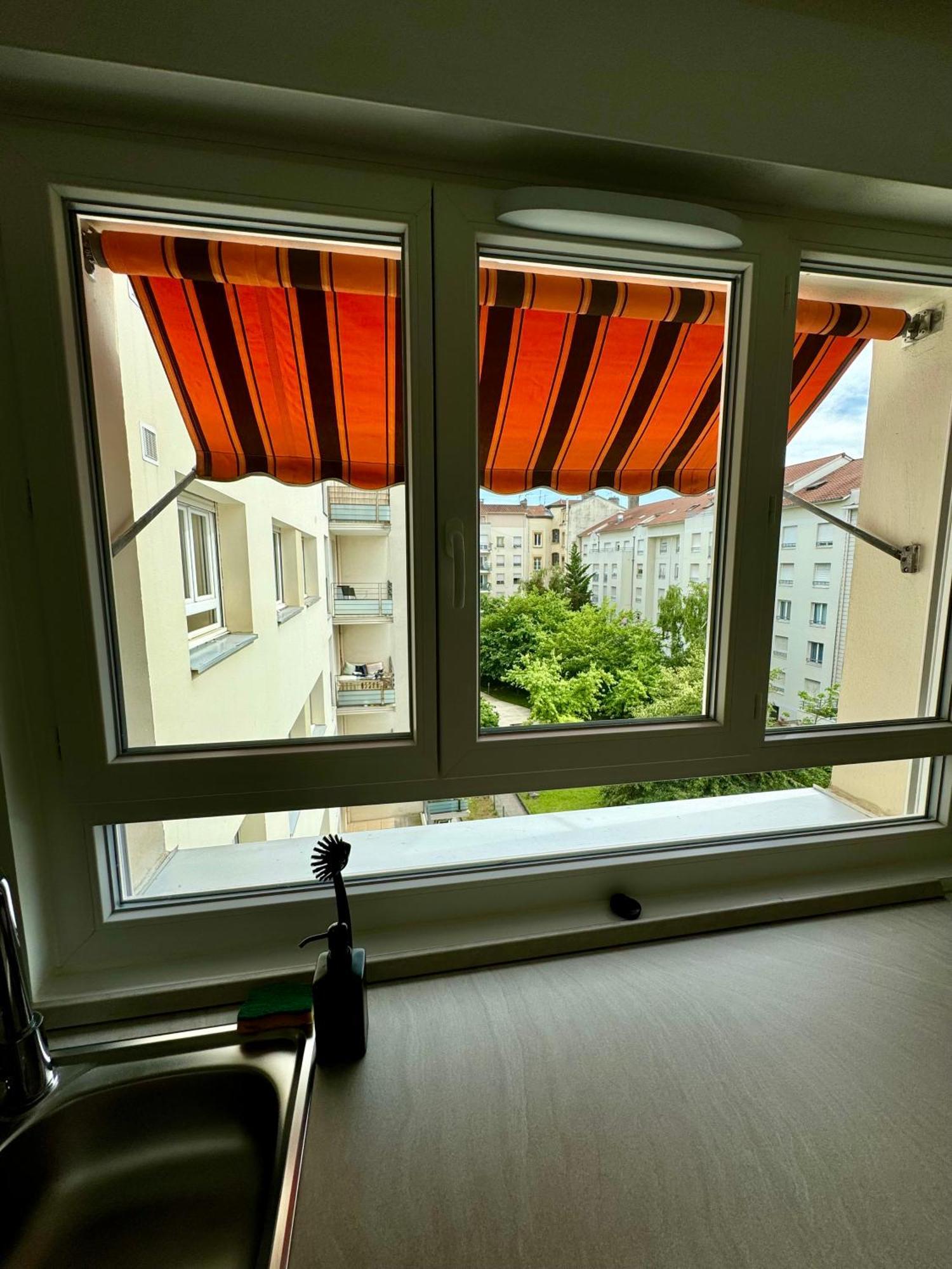 Le Lac - Appartement 15' Partdieu Et Bellecour Lyon Eksteriør bilde